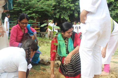 People planting a sapling